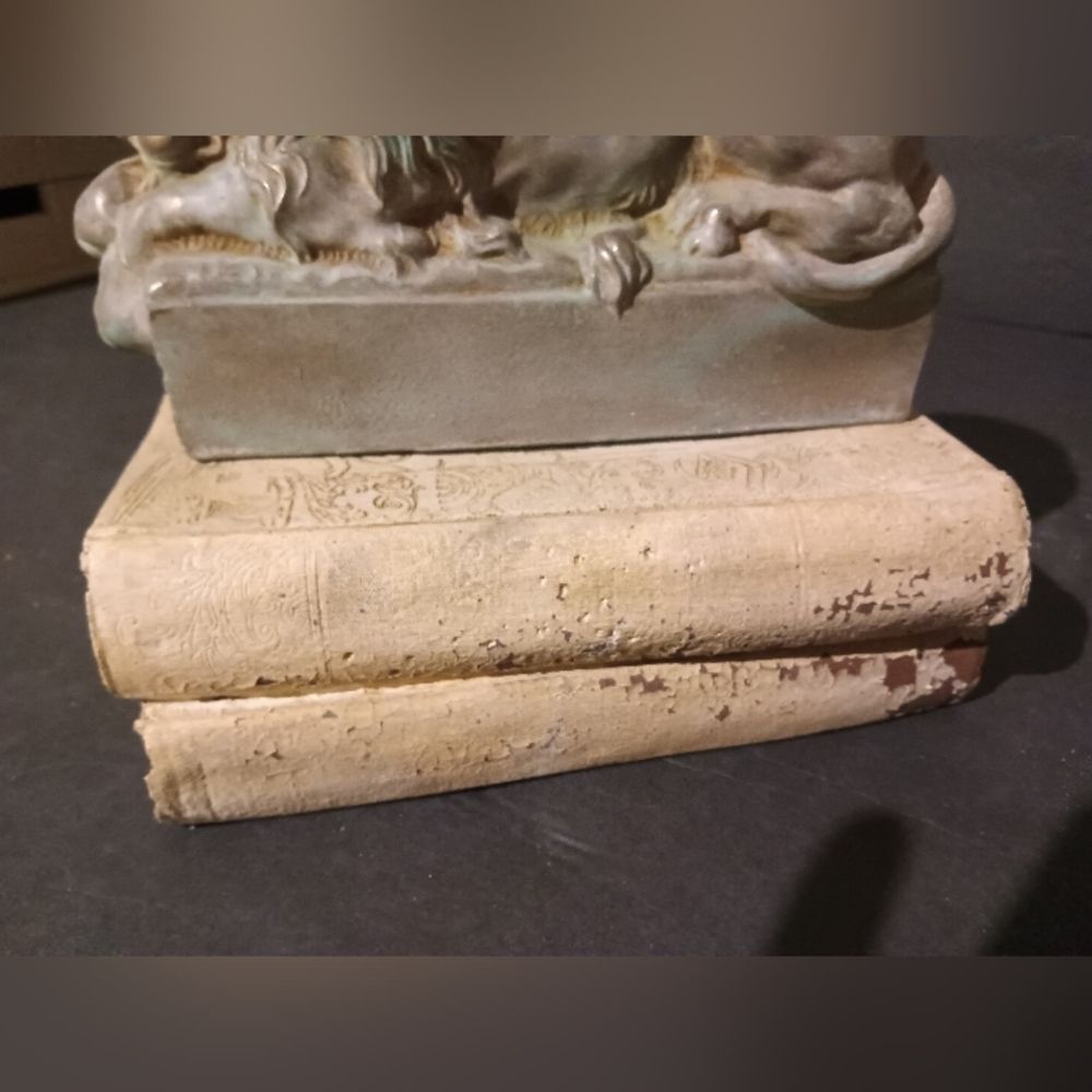 Sleeping Lion Sculpture on Books of Religion RARE & UNIQUE - Picture 17 of 17